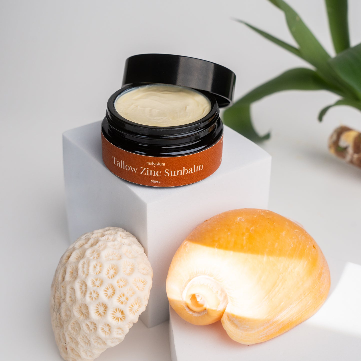 Tallow Zinc Sunbalm