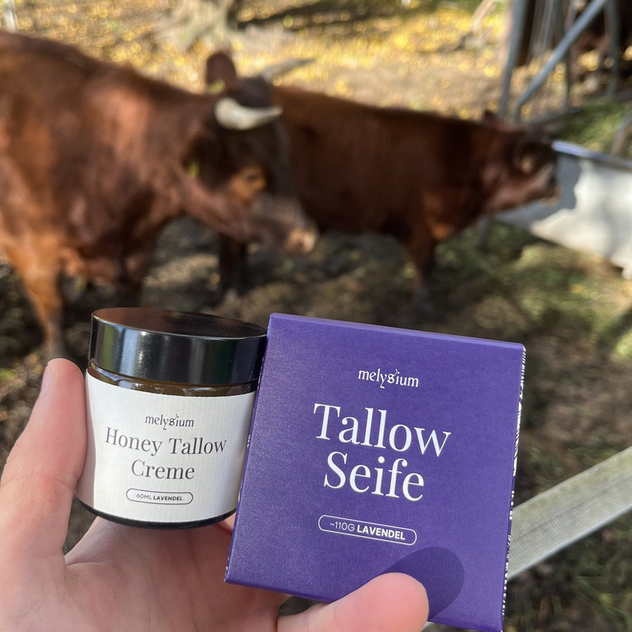 Honey Tallow Creme und Tallow Seife in der Hand, dahinter Kühe am Hof